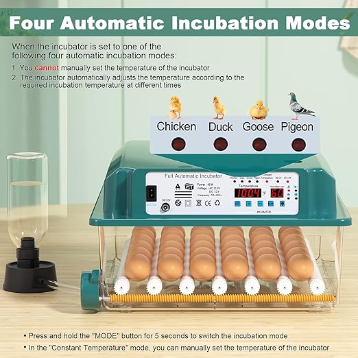 CoInceptus 36 Eggs Incubators for Hatching Eggs,Egg Incubator with 4 Automatic Incubate Mode,Chicken Incubator with Automatic Egg Turning Humidity Monitoring,Poultry Egg Incubator with Egg Candle