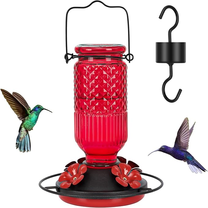 Glass Hummingbird Feeder& Plastic Disc Hummingbird Feeders