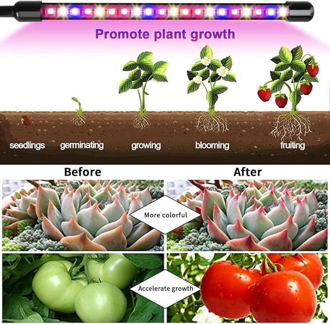 Garpsen Plant Lights, 3 Heads Red Blue Warm White Full Spectrum Grow Lights for Indoor Plants, 60 LEDs Led Grow Light for Seed Starting, with Auto ON/Off 6/12/16H Timer, 5 Dimmable Levels