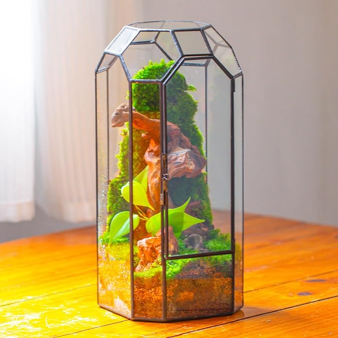 NCYP Glass Geometric Plant Terrarium with Door for Succulent Plants, Cacti - 5.5"x5.5"x12.8" - Indoor Vintage Tall Octagon Planter, Home Garden Office Tabletop Decoration (Terrarium Only)