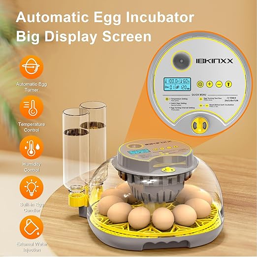 Incubator for Hatching Eggs-12 Egg Capacity, 2026 Newly Upgraded Automatic Egg Turner, Temperature & Humidity Control, 360° Viewing for Chicken, Duck and Quail Eggs (Grey)