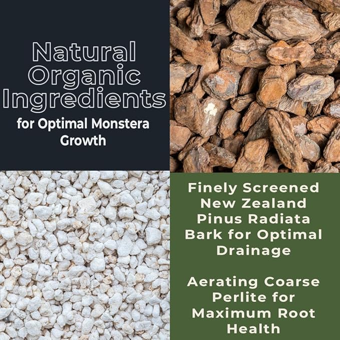 GARDENWISE Monstera Potting Soil Mix – Organic, Fast-Draining, Chunky Soil with Coconut Coir & New Zealand Bark for Indoor Plants – Premium Fertilizer for Monstera Deliciosa, Albo & More (10 quarts)