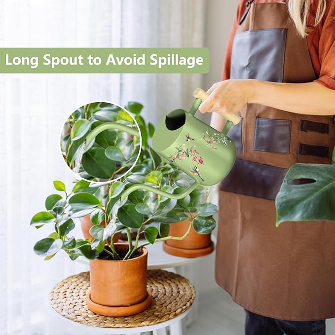 Watering Can Indoor Plants, 35oz Small Stainless Steel Metal Watering Can Modern Decorative Watering Pot with Long Spout for Indoor House Plant Bonsai Garden Flowers (Saga Green 2)