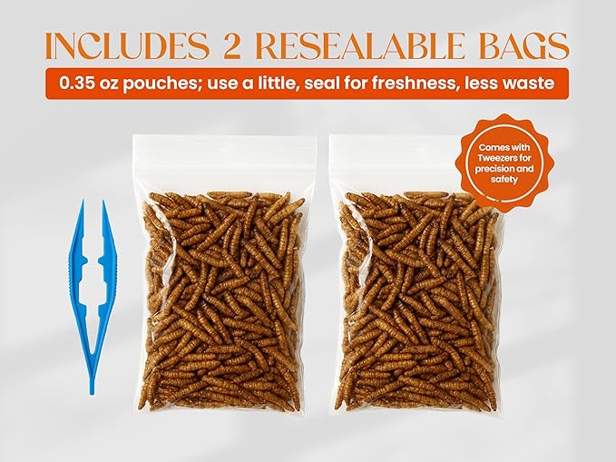 Venus Fly Trap Live Plant Food Bundle – Carnivorous Plant Food with Feeding Tweezers – 2 Resealable 0.35oz Bags of Black Soldier Fly Larvae – Nutrition for Venus Flytraps, Pitcher Plants, and Sundews