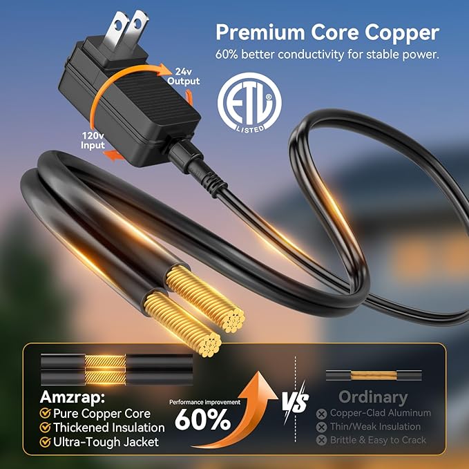 30FT Patio String Lights Outdoor, 10+1 LED Shatterproof Bulbs with Remote & Timer,2700K Dimmable Waterproof Hanging Decor for Backyard, Garden, Porch, Balcony, Wedding Party Lighting