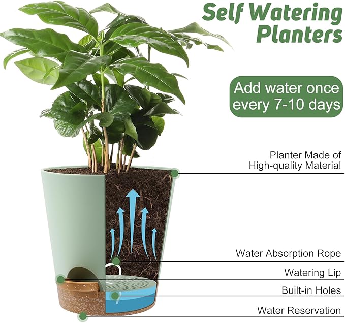 YNNICO 8-Inch Plant Pots, Self-Watering Planters with Drainage Holes & Saucers for Indoor and Outdoor Plants (2-Pack, Green)