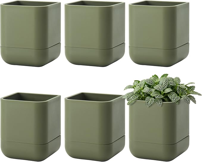 Phoenix Vine 3.5 Inch Wall Mounted Self-Watering Planter Pot for Indoor Houseplants and Herbs | Hanging Planter for Window Sills, Bathroom Walls, Home & Office Décor, Olive, Set of 6, 01-A-F-6