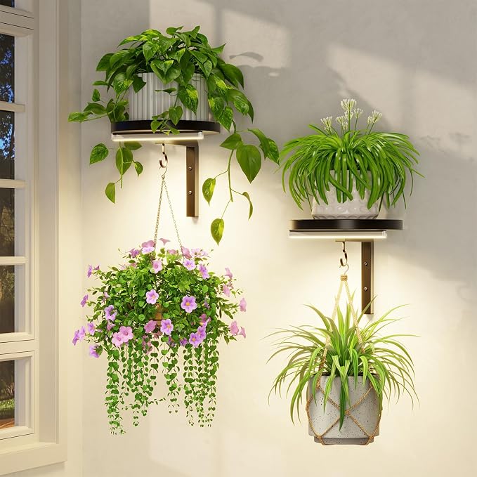 LASZOLA Plant Hangers Shelves Wall Mounted Indoor with Grow Lights, Metal Window Plant Holders, 2Pcs Modern Floating Flower Display Stand with 2 Hooks for Outdoor Kitchen Bathroom Decor, Black