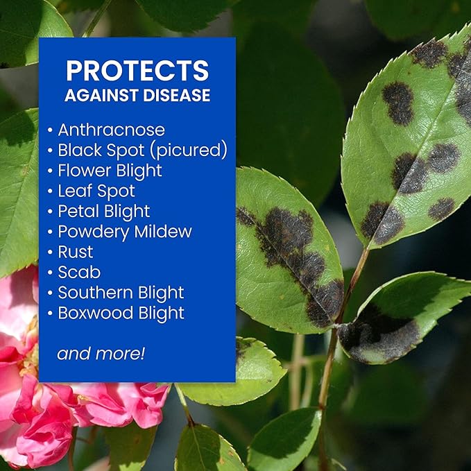 BioAdvanced Disease Control for Roses, Flowers and Shrubs, Concentrate, 32 oz with BioAdvanced All-in-One Rose and Flower Spray, Concentrate, 32 oz