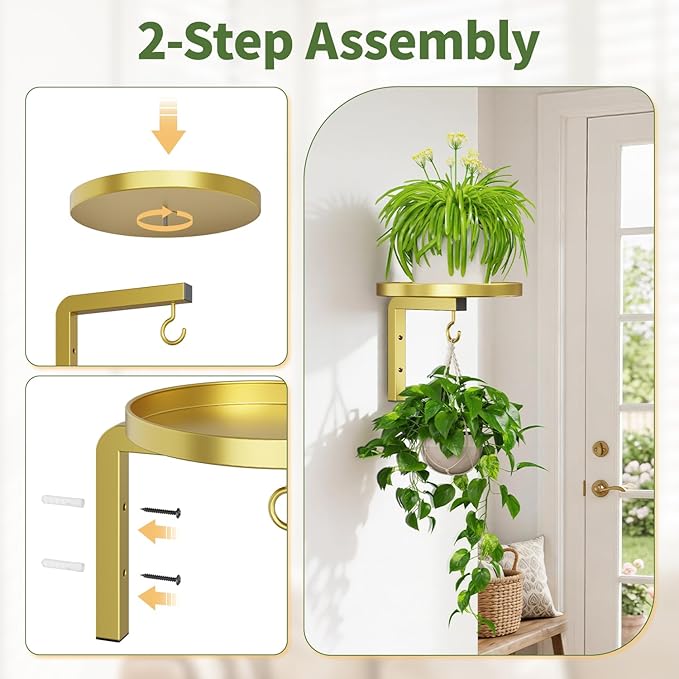 LASZOLA Plant Hangers Shelves Wall Mounted Indoor, Metal Window Plant Holders, 2Pcs Modern Floating Flower Display Stand with 2 Hooks for Outdoor Kitchen Bathroom Decor, Gold