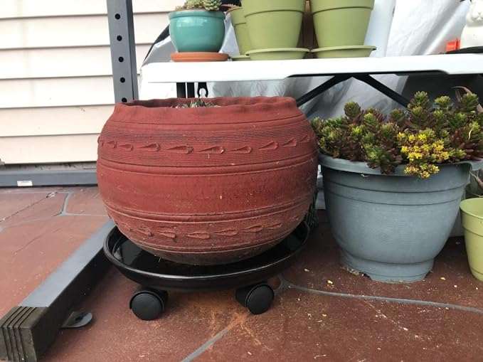 Plant Caddy with Wheels 15.5 Inch, 2 Pack Heavy Duty Plant Dolly Tray, Round Planter Caddies for Indoor & Outdoor Use, White