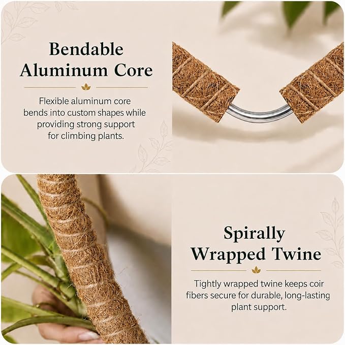 2 Pack 63 Inch Moss Pole for Plants, Tall Moss Poles for Climbing Plant-Monstera, Handmade Coco Coir Pole, Monstera Plant Support for Plant Grow