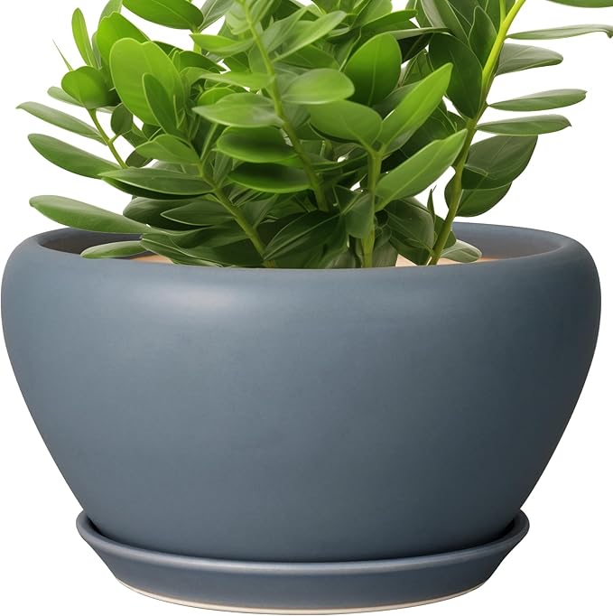 Ceramicfor Ceramic Plant Pot - 11 Inch Planter for Indoor Plants Large Plant Pot with Drainage Hole and Saucer Round Outdoor Planter Modern Flower Pot for Home Decor Gray