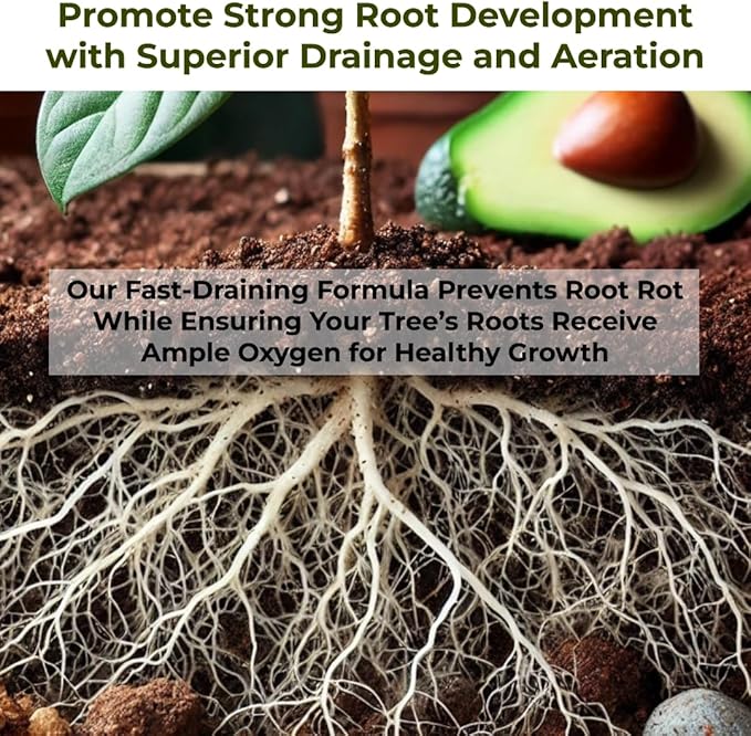 GARDENWISE Avocado Tree Soil – Premium Organic Potting Mix for Avocado Trees | Tailored pH & Organic Nutrients | Fast-Draining & Moisture-Retaining | Indoor & Outdoor Use (10 QUARTS)