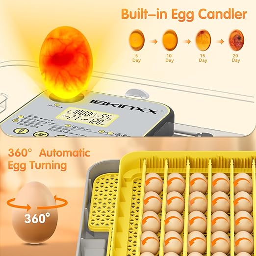 IBKINXX Incubator for Hatching Eggs-48 Egg Capacity, 2026 Newly Upraded Auto Egg Turner & Auto Precision Humidity Control System, 360° Clear Viewing for Chicken, Duck and Quail Eggs (Yellow)