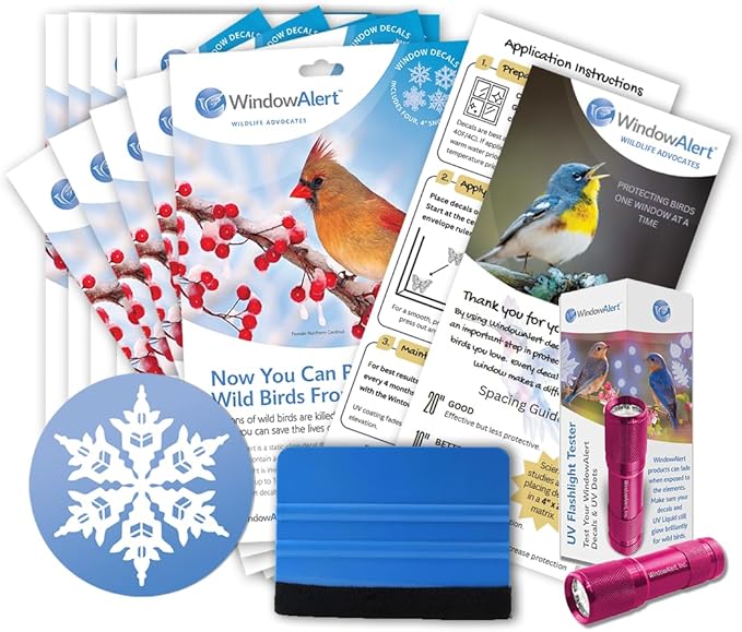 WindowAlert Snowflake Large Starter Pack - Bird Strike Prevention Decals (12 Envelopes) with UV Tester Flashlight & Application Squeegee - Made in USA