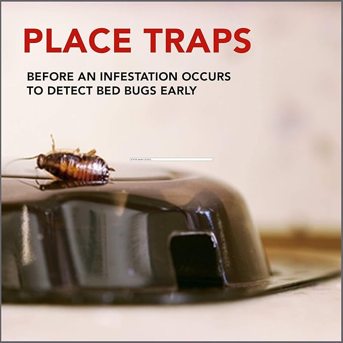 Raid Bed Bug Detector & Trap Early Detection and Monitoring for Home or Travel,8 Count (Pack of 6)