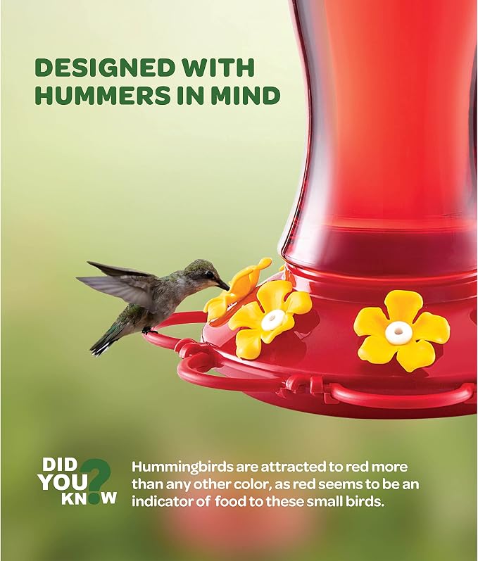 Hummingbird Feeder 30 oz [Set of 2] Glass Hummingbird Feeders for Outdoors - with Built-in Ant Guard - Circular Perch with 7 Feeding Ports - Wide Mouth for Easy Filling/2 Part Base for Easy Cleaning