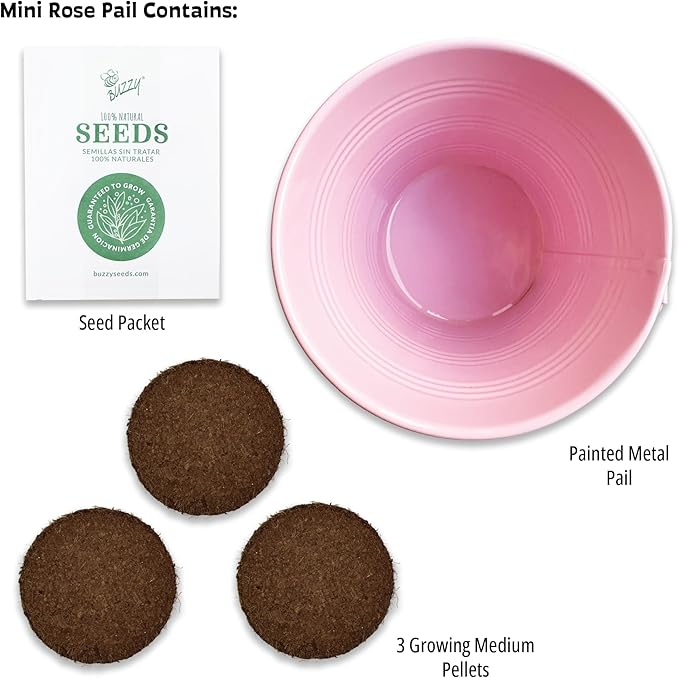 BUZZY Seeds Love Pails Grow Kit, 2-Pack – Valentine’s Day Mini Garden Gift with Colorful Pails, Mini Rose & Lavender Seeds, Growing Medium Included, Indoor Starter Seed Kit