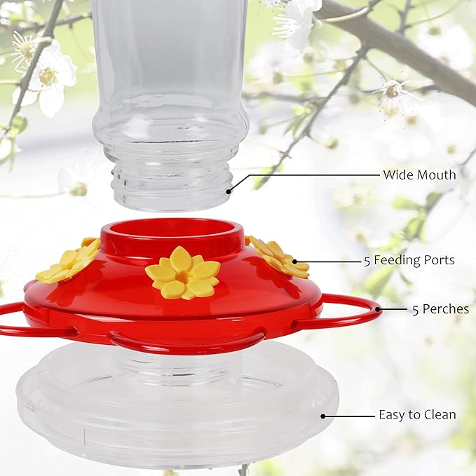 Shrdaepe Hummingbird Feeder, Glass Bottle Bird Feeders, 5 Feeding Ports, 10-Ounce Nectar Capacity, 2 Pack