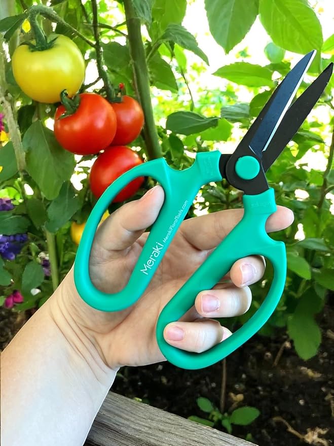 Garden Pruning Shears Scissors Carbon Steel Blades 7.6 Inch, Echinops - Teal