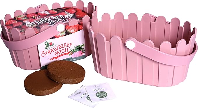 Buzzy Seeds Strawberry Grow Kit Pink Picket Fence Berry Basket with Grandian Seeds, Indoor Planting Starter Kit, DIY Garden Project, Gardening Gift for Women