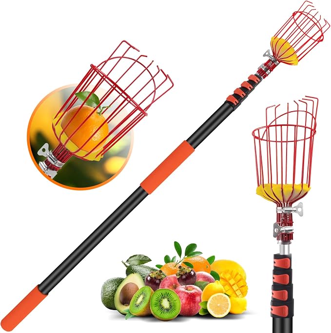 26FT Reach Fruit Picker Pole with Basket Telescoping,Apple Picker Pole with Basket,Lightweight Aluminum Pole Fruit Catcher for Trees,Orange Picker Suit for,Pear,Lemon,Mango,Guava,Avocados