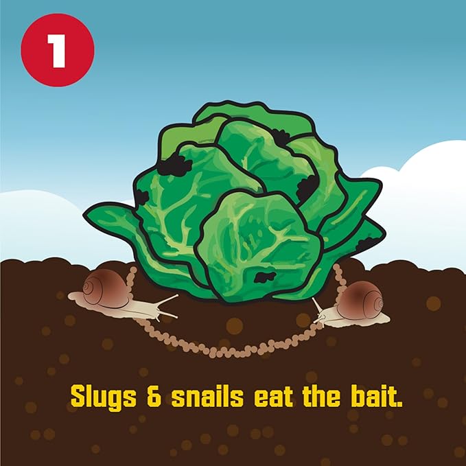 Corry's 100511427 Slug and Snail Killer, 1.75 lb
