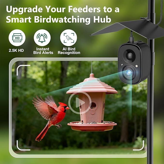 Smart Bird Feeder Camera Solar Powered with Pole, 2.5K HD Birdwatching Live Video Auto Capture, AI Identification & Instant Notification, Wireless Bird House/Bath Cam Outdoor, Gift for Bird Lovers