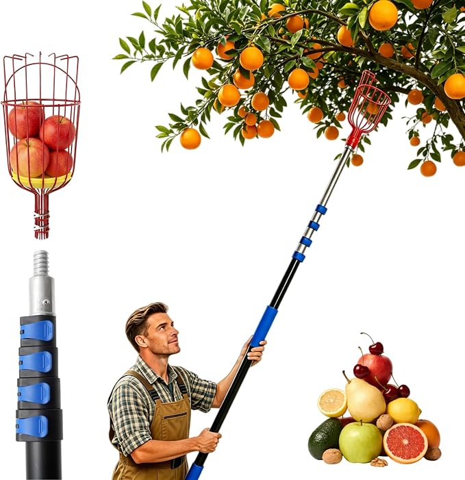 18FT Reach Fruit Picker Pole with Basket Telescoping, 3-12FT Extendable Aluminum Apple Picker for Picking Avocados, Figs, Mangoes, Citrus Fruits - Durable Harvesting Fruit Catcher for Trees