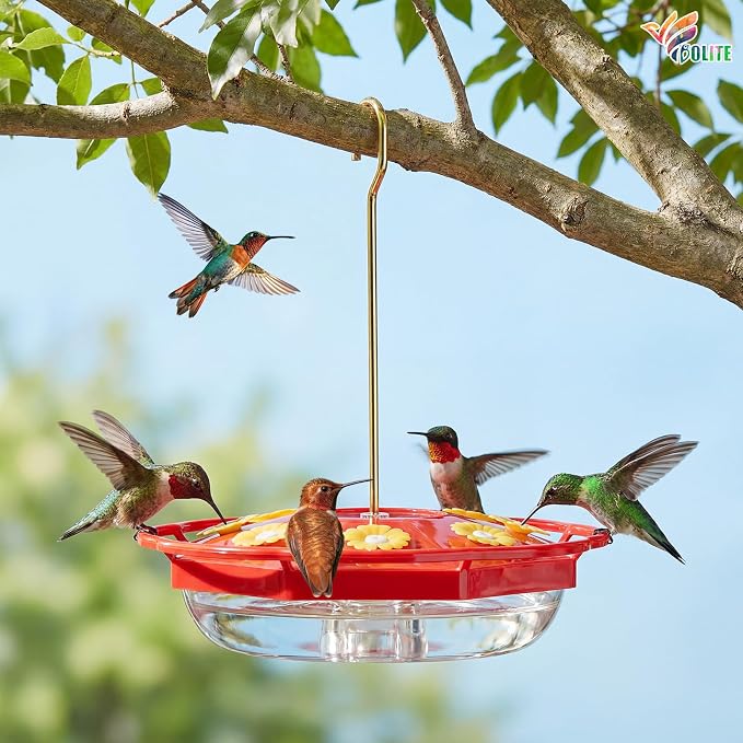 BOLITE Hummingbird Feeders for Outdoors Hanging, 11 OZ 8 Bee Proof Feeding Ports Flat Bird Feeder, Easy to Clean & Fill, Built-in Ant Moat, Leak Proof with Cleaning Brush, Red, Gift for Bird Lovers