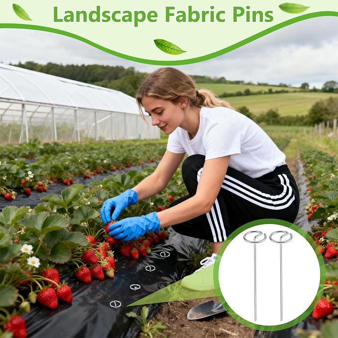 200pcs Landscape Fabric Pins G-Shape Staples Galvanized Carbon Steel Garden Stake Not Easy to Bend 6in x 1.2in Weed Barrier Fabric Stakes for Garden Yard Plant Cover Christmas Outdoor