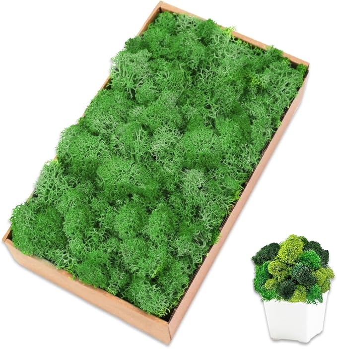 Preserved Reindeer Moss 7 OZ Green Natural for Crafts, DIY Gift Christmas Decor, Wall Art, Potted Plants, Floral Fake Moss for Easter Table Decor Wedding Decorative(7oz, Green)