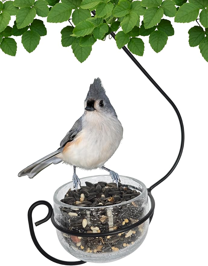 Clear Glass Hanging Bird Feeder - Removable Bowl for Mealworms, Jelly, Nectar, Seed & Fruit - Decorative Wire Hook - Versatile Outdoor Treat Feeder for Bluebirds, Orioles & More