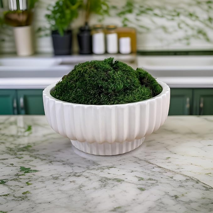 Preserved Mood Moss - Decorative Moss - Dried Moss for Crafts, Home Decor, Art, Design & DIY Projects - for Indoor Use - Natural Green - Small Size