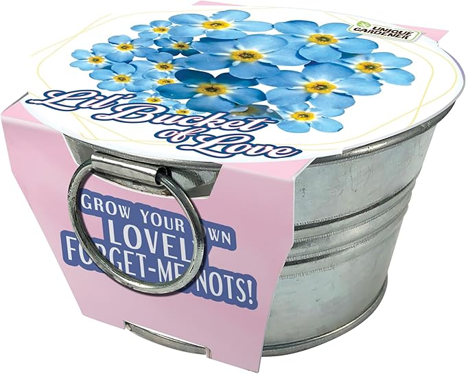 Unique Gardener Grow Your Own Forget-Me-Not Plant Seeds 3-Pack, DIY Indoor Succulents and Live Plants for Home or Garden Planting, Lil Bucket of Love
