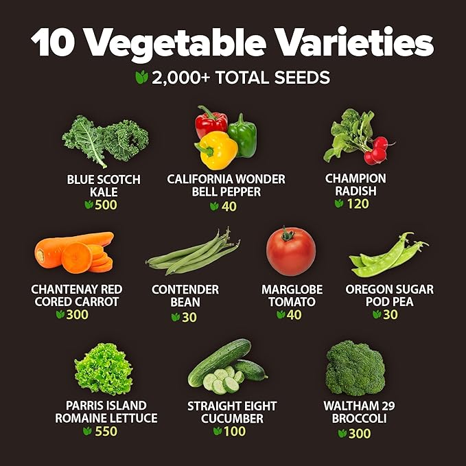2,000+ Vegetable Seeds for Planting - Bonsai Tree Kit - Gifts for Men & Women
