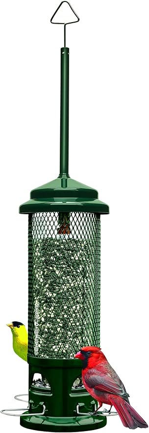 Squirrel Buster Legacy Squirrel-Proof Bird Feeder for Wild Birds – 4 Metal Removable Perches, 2.6 lb Seed Capacity, Chew-Proof Design, Easy to Clean, Green