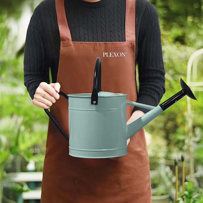 Plexon Metal Watering Can Outdoor 1 Gallon, Flower Plant Gardening Garden Large Watering Can Pot, Black Galvanized Steel Handles and Removable Spray Spout, Aqua Mist Blue