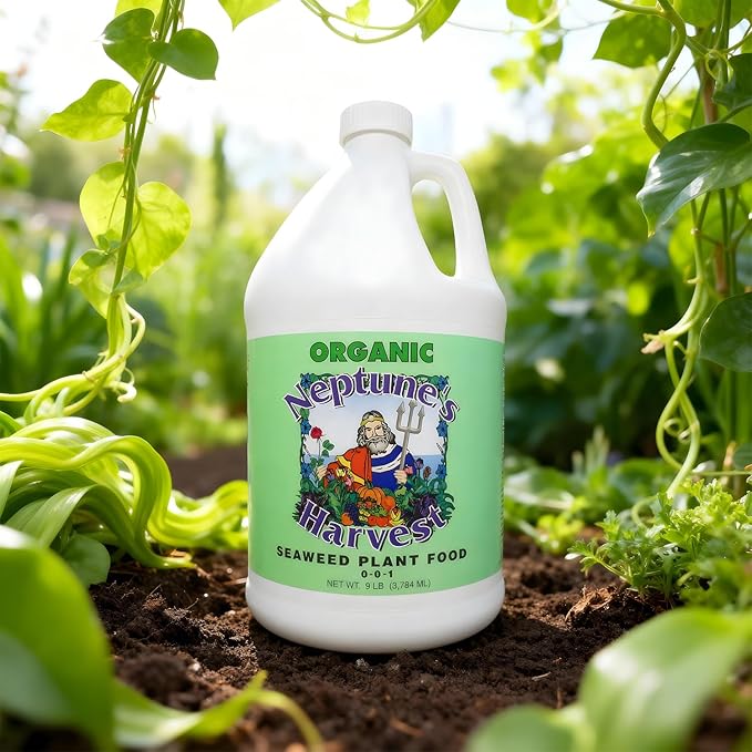 Neptune’s Harvest Seaweed Plant Food (0-0-1) - Multi-Purpose Seaweed Organic Liquid Fertilizer - Indoor & Outdoor Plant Fertilizer for Lawns, Gardens, Vegetables, & Flowers (Gallon)