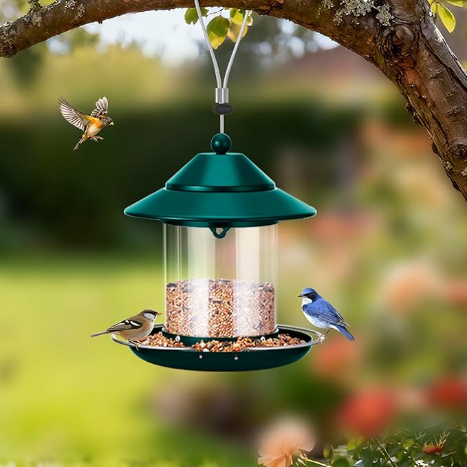 Bird Feeder, Hanging Metal Bird Feeders for Outdoors with 2LB Clear Tube Seed Capacity for Viewing Cardinal Finch, Chew Proof Wild BirdFeeders for Outside Garden Yard Decoration