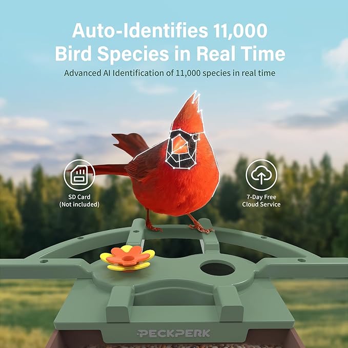 Smart Bird Feeder with Camera Solar Powered Outdoor - 2K HD Live Video, AI Bird ID, Squirrel-Proof, Instant Alerts & IP65 Weatherproof Outside, Great Gift for Familys & Friends