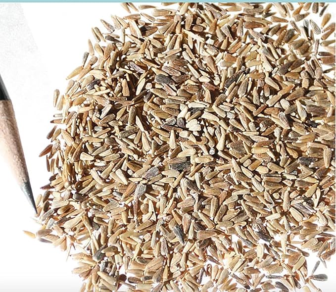 China Asters Seeds - Mixed Single Asters