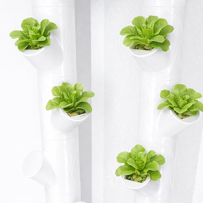 EBaokuup 12 Pcs Grow Cubes for Hydroponic System, Grow Cube Hydroponic Cups Compatible with yCube, Reusable Hydroponic System Grow Cube for Indoor Graden Supplies