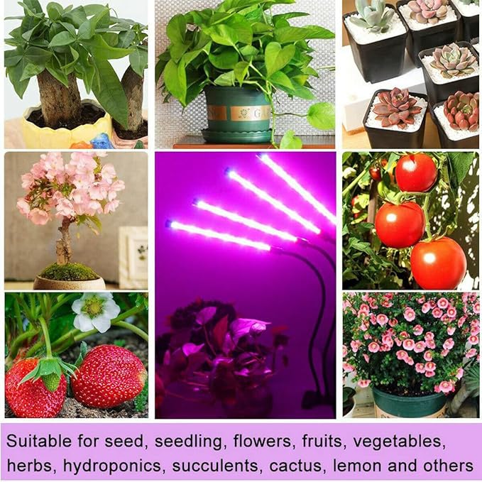 Clip On Grow Light for Indoor Plants,Full Spectrum Led Plant Grow Lights with Auto-Timer, Plant Growing Lamp for Seed Starting,Houseplants, Bonsai, Pot Plant,1 Lamp(2 Pack)