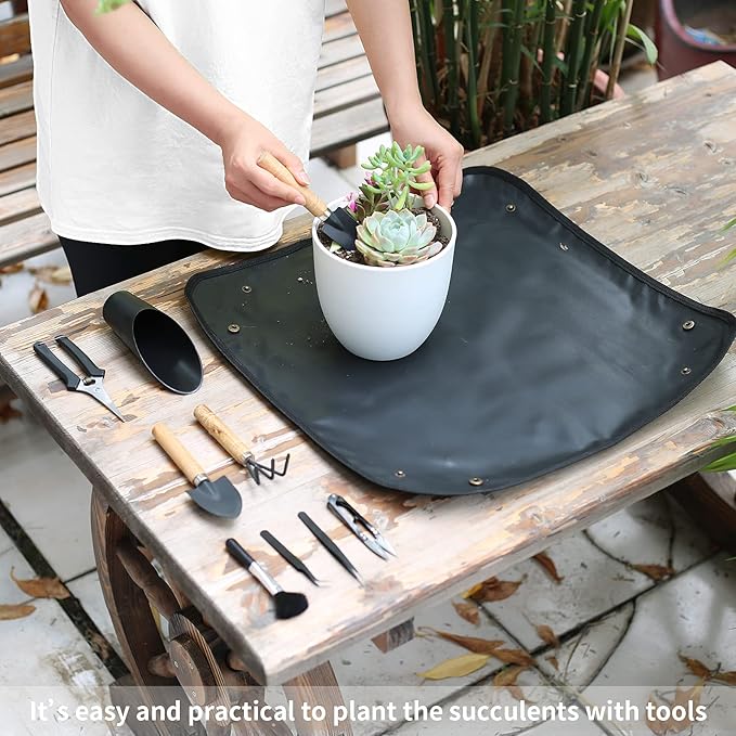11Pcs Succulent Tools,Mini Garden Tools,Succulent Watering Tool as Plant Accessories,Succulent Gardending Hand Tools Kit for Seedling Soil,Caring Succulent,Houseplant,Gifts for Woman (No Flowerpot)