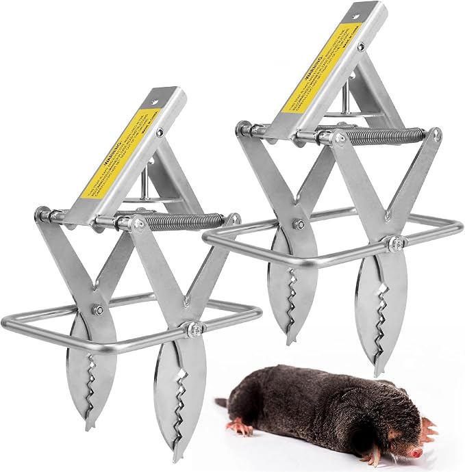TeqHome 2 Pack Mole Traps, 2025 Upgraded Galvanized Steel Scissor Trap, Outdoor Reusable Gopher Traps Easy-Set Quick Capture Solution for Ground Moles and Gophers in Lawns Garden Yard (Silver)
