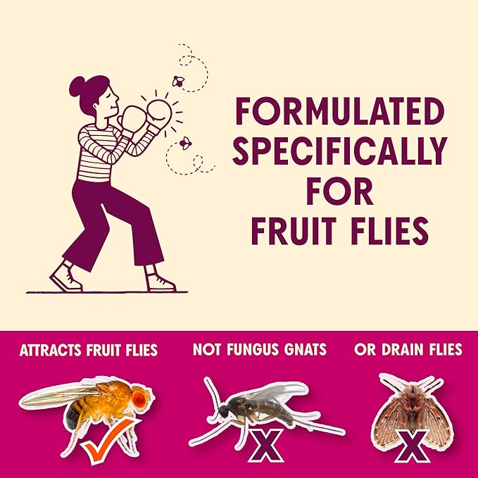 Aunt Fannie's FlyPunch Fruit Fly Trap for Indoor and Kitchen Use, Ready to Use, Made with Plant Based Ingredients, Safe Near Food, Each Bottle Lasts Up to 30 Days, Pack of 6