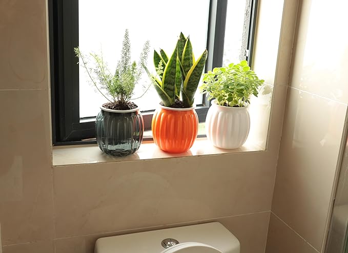 Cornasee 4" Pumpkin Planter Self Watering Pot, 4-Pack Small Plastic Planters for Indoor Plants,Snake Plant,Succulent,African Violets Green