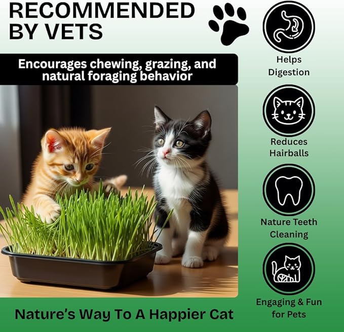 Cat Grass Seeds for Growing | 4 Way Blend, Rye, Wheat, Oats and Barley | Made in USA, Ships from Iowa. (10 Pounds)